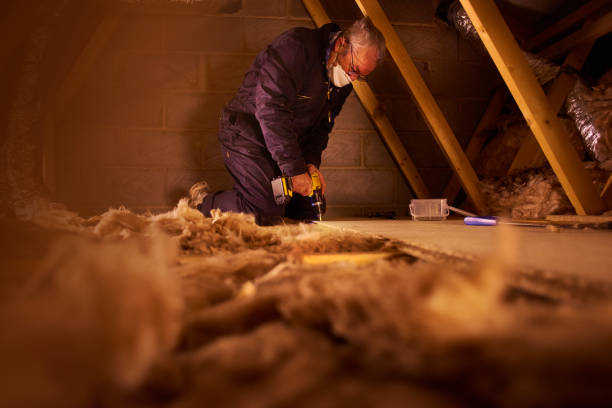 Best Blown-In Insulation  in Wheelersburg, OH